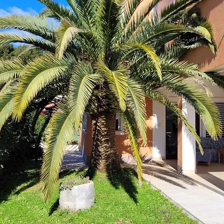 Apartman Casa Fidelia *